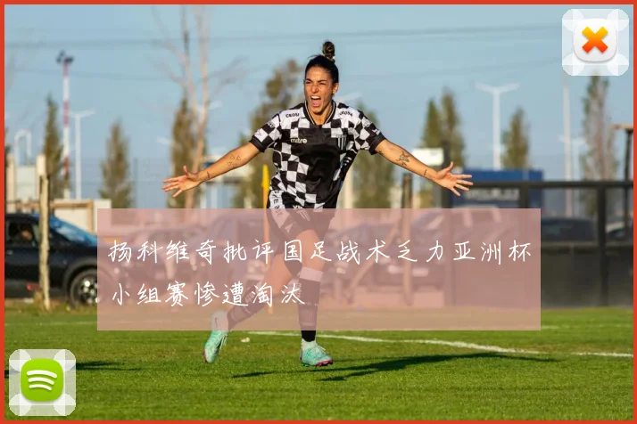 扬科维奇批评国足战术乏力亚洲杯小组赛惨遭淘汰